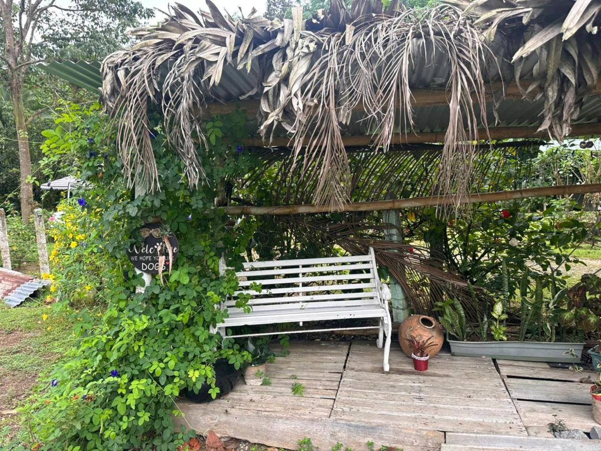 River Side Lodge Horquetas Buitenkant foto